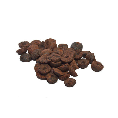 M B Nuts - AH Khan Wholesale (PTY) LTD