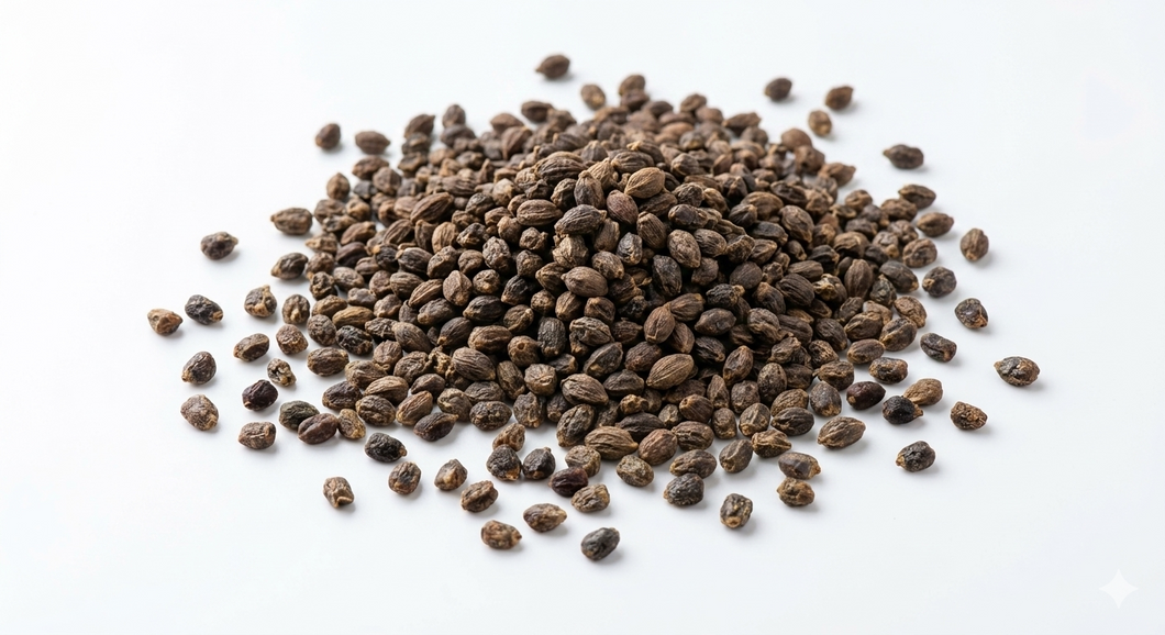 Elachi Seeds (Cardamom Seeds) – AH Khan Wholesale (PTY) LTD