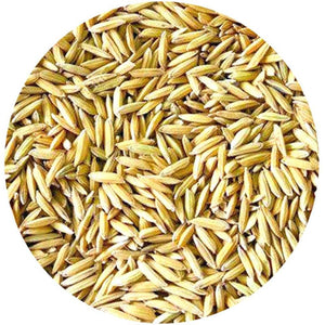 Paddy Rice (Rough Rice) - AH Khan Wholesale (PTY) LTD